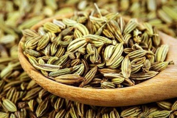 خرید و قیمت زیره سبز کاشمر + فروش صادراتی